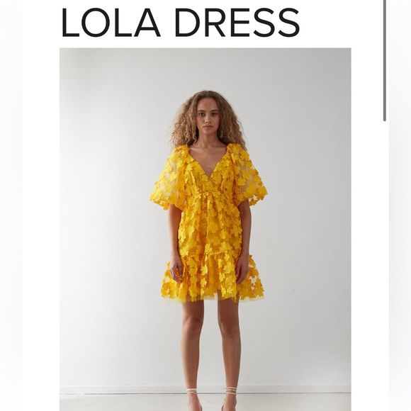 NWT Delfi Collective Lola Dress - Picture 2 of 4